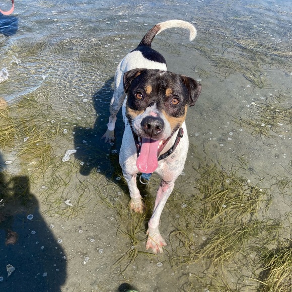 Meet your Posher, Jami - Picture 1 of 1